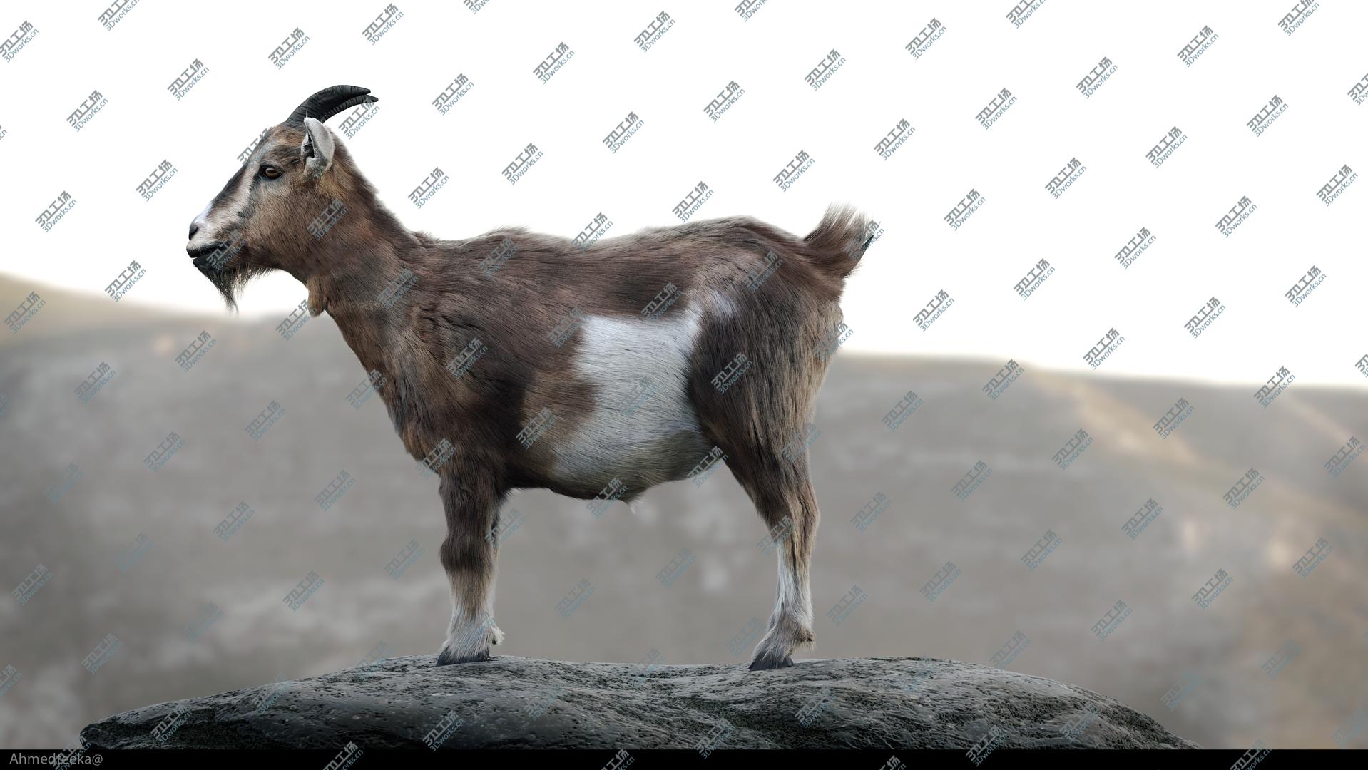 images/goods_img/202104092/Goat-Fur-Rigged model/5.jpg